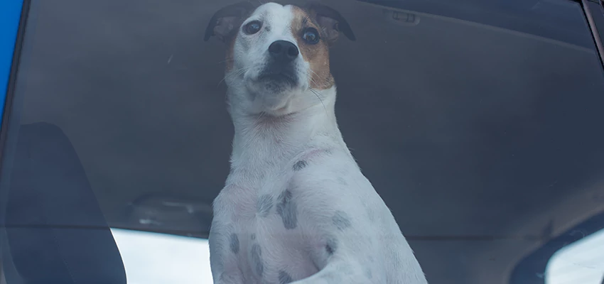 Car Lockout Solutions in San Marcos, California